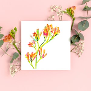 Art Print | Print | Wall Art | Wall Decor | Recycled Paper | Designed and printed in Perth | Kangaroo Paws | Native Flowers | Australiana