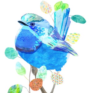 Splendid Fairy Wren, Australian Native Birds - Art Print