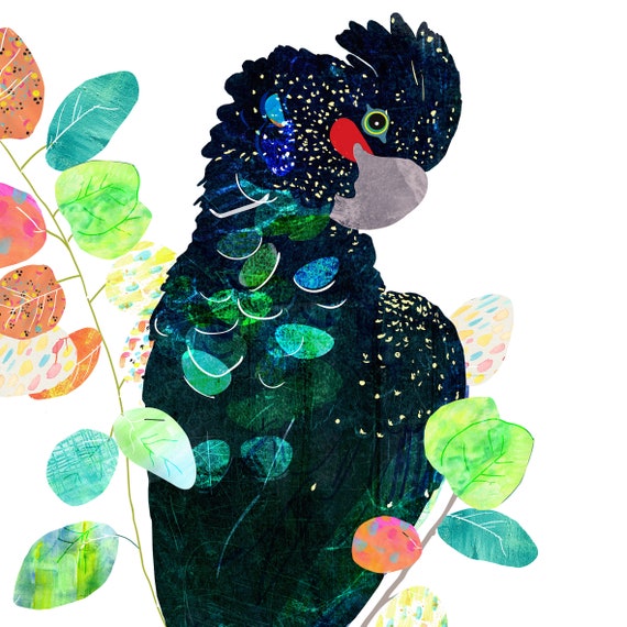 Red-Tailed Black Cockatoo Art Print: Australian Native Bird Wall Decor