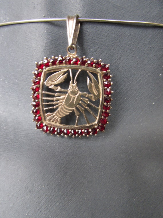 Vintage Czech Pendant 900 silver Bohemian Garnets… - image 6