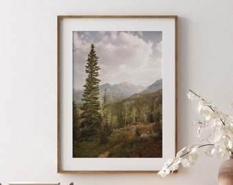 Rocky Mountain National Photo Print, Forest Tree Wall Art, Fall Wall Art Decor, Colorado Photography Prints, Travel Landscape Photography