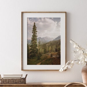 Rocky Mountain National Photo Print, Forest Tree Wall Art, Fall Wall Art Decor, Colorado Photography Prints, Travel Landscape Photography image 1