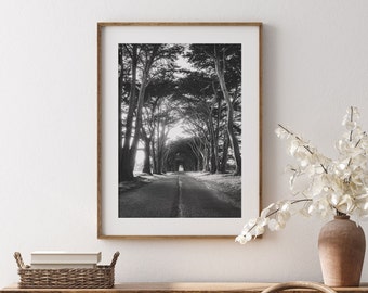 Cypress Tree Tunnel Wall Art, Black and White Tree Photo Print, California Landscape Print, Nature Photography Print, Point Reyes National