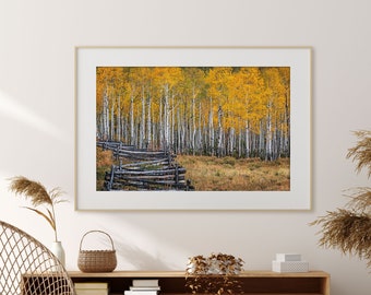 Autumn Aspen Tree Wall Art Print, Autumn Wall Decor, Telluride Art, Country Home Decor, Last Dollar Road Print, Office Wall Art Prints