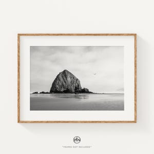 May include: A black and white landscape photograph in a light wood frame featuring a large, jagged rock formation rising from a calm, reflective beach under a cloudy sky, with a single small bird visible in the distance above the horizon line.