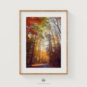 Autumn Prints Wall Art, Forest Photography Print, Wall Art Photo of Fall Colors in Great Smoky Mountains, Fall Season Picture Decor