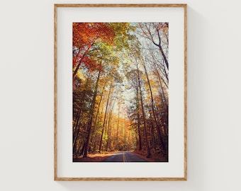 Autumn Prints Wall Art, Forest Photography Print, Wall Art Photo of Fall Colors in Great Smoky Mountains, Fall Season Picture Decor