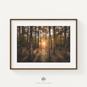 Forest Print Nature Print, Modern Scandinavian Decor, Nordic Minimalist Wall Print, Nature Photography Prints Large, Trees Prints Wall Art