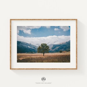 Rocky Mountain National Park Print: Colorado Winter Tree Photography