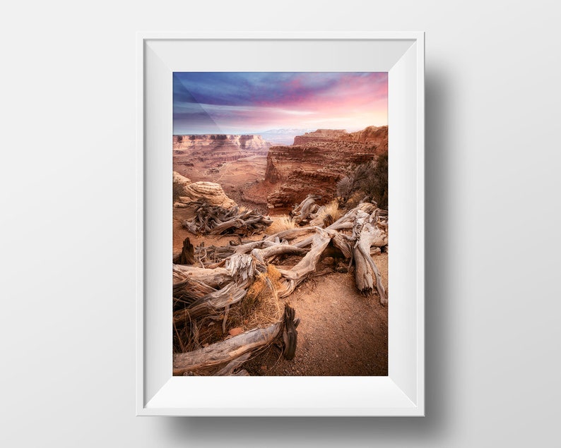 Southwestern Photography Print Nature Print Desert Wall Art Canyonlands Photo Desert Photography Utah Desert Print Landscape Print