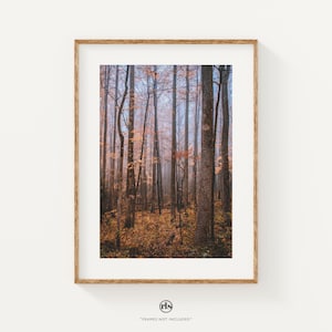 Foggy Forest Print in the Smoky Mountains National Park, Tree Fine Art, Forest Wall Art Print, Autumn Living Room Decor, Photography Print