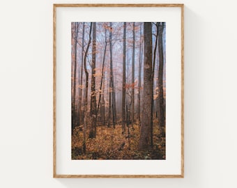 Foggy Forest Print in the Smoky Mountains National Park, Tree Fine Art, Forest Wall Art Print, Autumn Living Room Decor, Photography Print