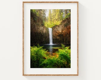 Oregon Waterfall Print, Pacific Northwest Wall Art, Lush Forest Photography, Abiqua Falls