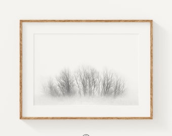 Black and White Tree Prints, Forest Print, Nordic Prints, Scandinavian Large Wall Art, Minimalist Art Print, Nature Home Decor, Tree Print