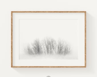 Black and White Tree Prints, Forest Print, Nordic Prints, Scandinavian Large Wall Art, Minimalist Art Print, Nature Home Decor, Tree Print