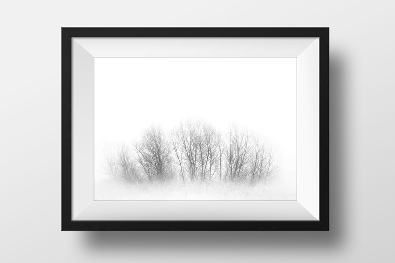 Black and White Tree Prints, Forest Print, Nordic Prints, Scandinavian Large Wall Art, Minimalist Art Print, Nature Home Decor, Tree Print image 9