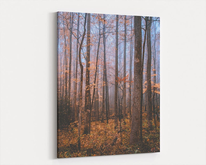 Wall Hangings Forest Trees Autumn Sky Framed Canvas Art Print Picture Sisagil Com - Forest Wall Art Framed Wall Hangings Forest Trees Autumn Sky Framed Canvas Art Print Picture Sisagil Com - Forest Wall Art Framed