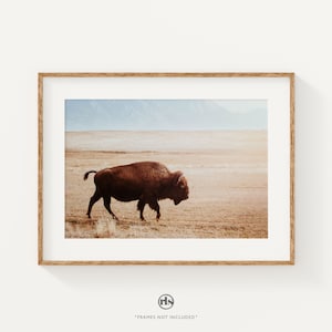 Bison in Zion National Park Print: Rustic Western Wall Art