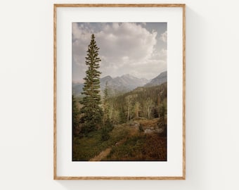 May include: A photograph of a tall evergreen tree in the foreground with a mountain range in the background. The sky is cloudy and the mountains are covered in trees.