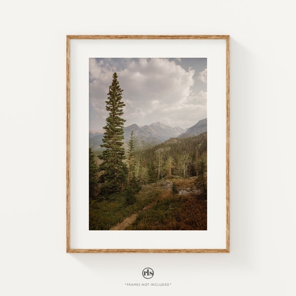 Rocky Mountain National Photo Print, Forest Tree Wall Art, Fall Wall Art Decor, Colorado Photography Prints, Travel Landscape Photography