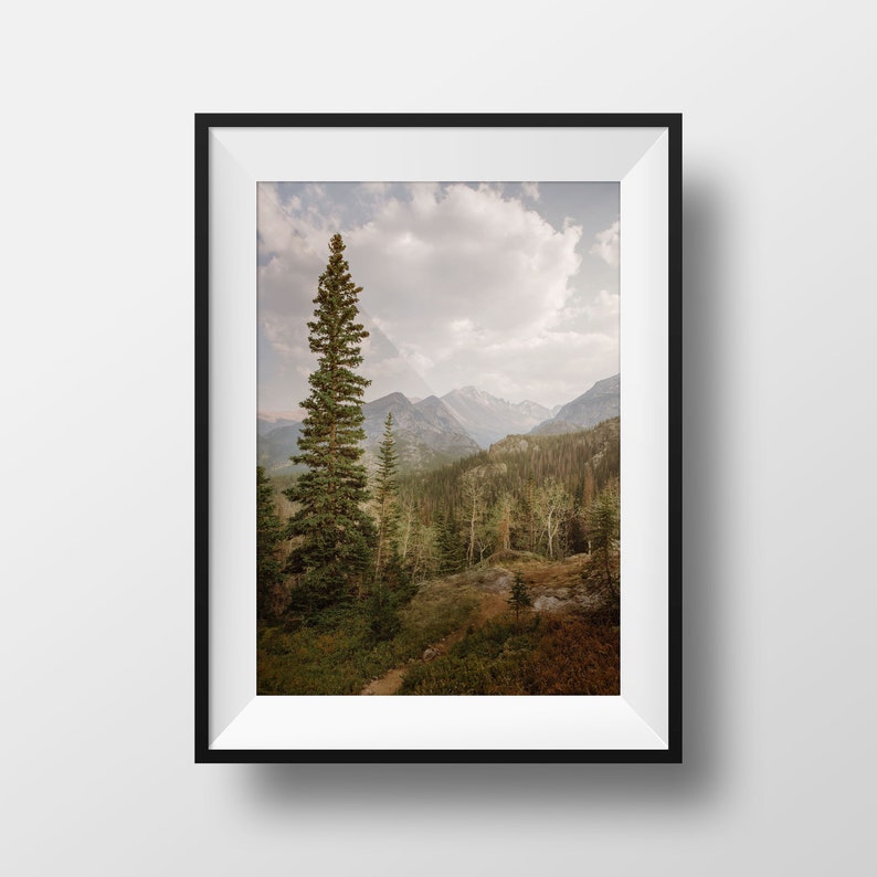 Rocky Mountain National Photo Print, Forest Tree Wall Art, Fall Wall Art Decor, Colorado Photography Prints, Travel Landscape Photography image 10