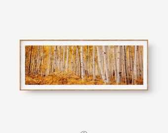 Golden Aspen Fall Foliage Print: Telluride Colorado Mountain Photo