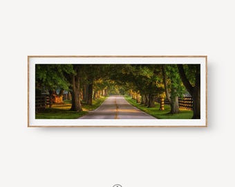 Kentucky Horse Farm Panoramic Print, Tree Tunnel Wall Art, Old Frankfort Pike Photography, Bluegrass Country Decor