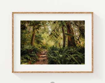Hoh Rainforest Wall Art, Olympic National Park Print, Mossy Forest Photo, Pacific Northwest Nature Decor, Giclée Fine Art Landscape
