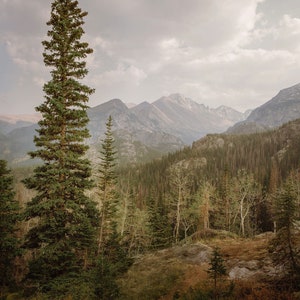 Rocky Mountain National Photo Print, Forest Tree Wall Art, Fall Wall Art Decor, Colorado Photography Prints, Travel Landscape Photography image 2