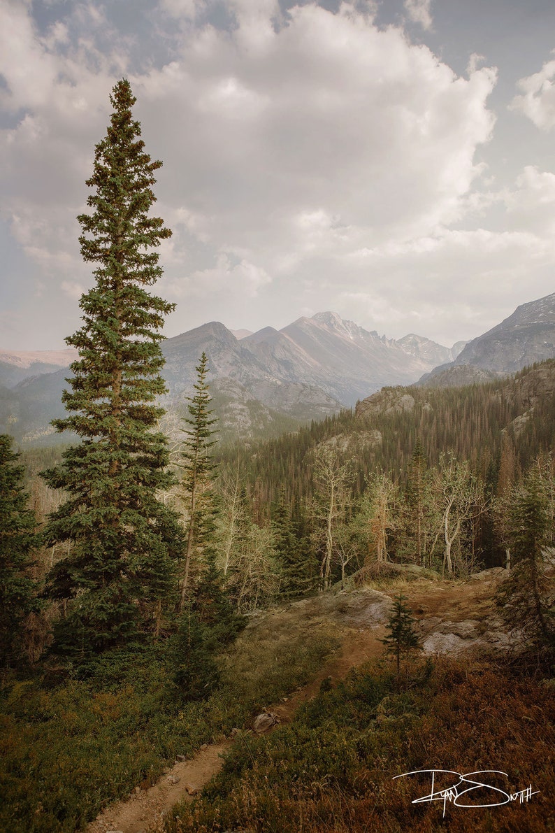 Rocky Mountain National Photo Print, Forest Tree Wall Art, Fall Wall Art Decor, Colorado Photography Prints, Travel Landscape Photography image 2