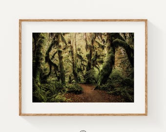 Enchanted Forest Print, Moody Green Rainforest Wall Art, Pacific Northwest Nature Photography, Olympic National Park