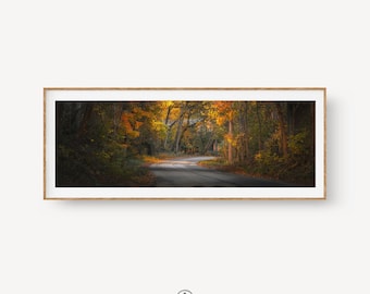 Fall Forest Road Panoramic Print, Moody Autumn Landscape