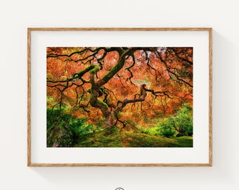 Zen Japanese Maple Print, Portland Japanese Garden Wall Art, Calming Botanical Photography, Japandi Home Decor