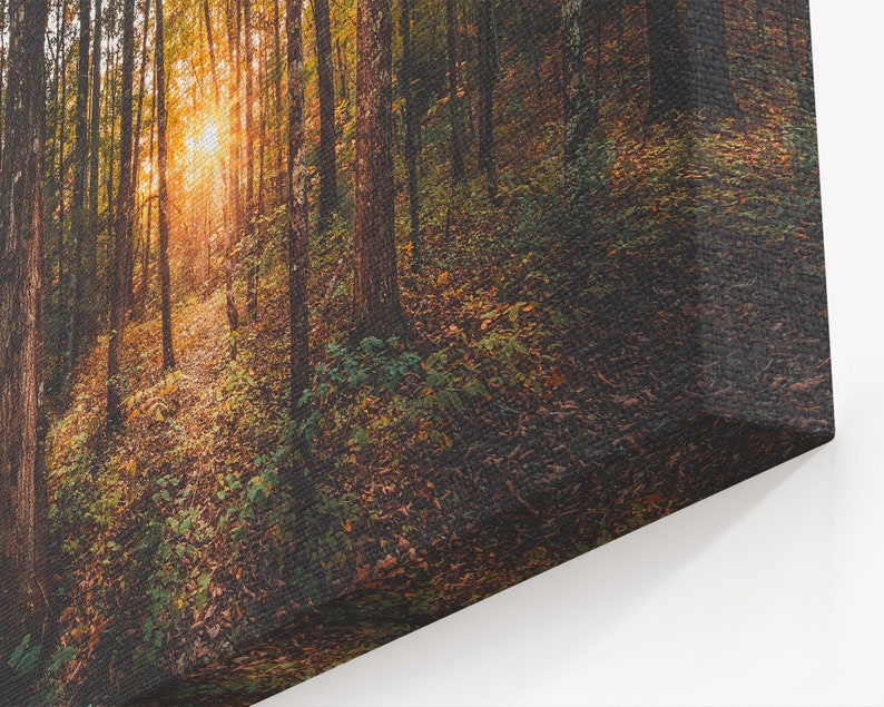 Tree Canvas Wall Art Forest Canvas Art Nature Canvas Print Etsy