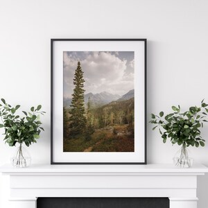 Rocky Mountain National Photo Print, Forest Tree Wall Art, Fall Wall Art Decor, Colorado Photography Prints, Travel Landscape Photography image 8