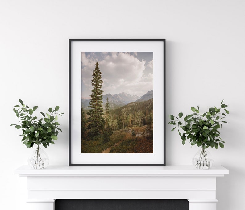 Rocky Mountain National Photo Print, Forest Tree Wall Art, Fall Wall Art Decor, Colorado Photography Prints, Travel Landscape Photography image 8