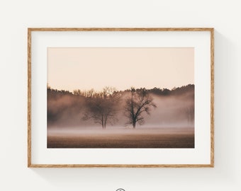 Landscape Trees Print, Cades Cove Print, Bedroom Wall Art, Trees Fine Art Print, Home Office Decor, Smoky Mountains Photography