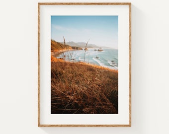 May include: A photograph of a beach scene with tall grass in the foreground. The beach is sandy with blue water and waves. The sky is blue with white clouds.