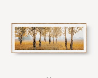 Aspen Tree Panoramic Wall Art, Autumn Birch Print, Golden Fall Landscape Photography, Neutral Bedroom Decor