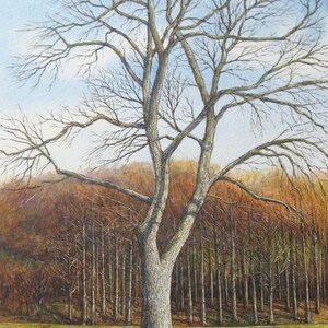 Original Watercolour Painting Unframed Winter Forest English Landscape Painting Mountain Landscape by Paul Morgan Clarke