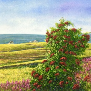 Original Watercolour Painting Autumn Berries Unframed Landscape Painting by Paul Morgan Clarke