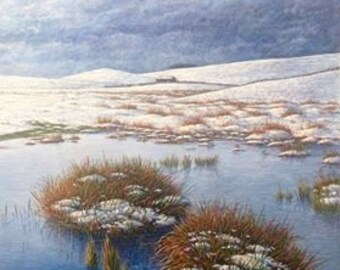 Original Acrylic Painting Frozen pond Hadrian's wall Northumberland Landscape Painting by Paul Morgan Clarke