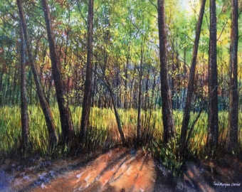 Original Watercolour Painting Sunlit Forrest Unframed Landscape Painting by Paul Morgan Clarke