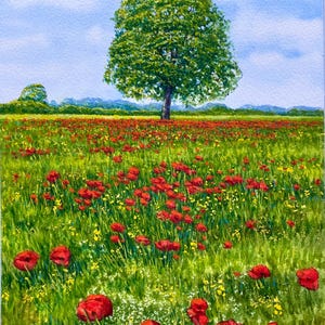 Summer Poppies