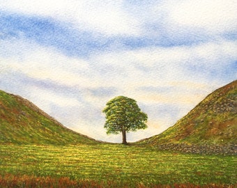 Sycamore Gap Original Watercolour Painting by Paul Morgan Clarke