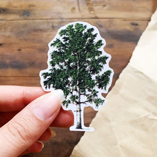 Vintage Silver Birch Tree Sticker, Retro Style Cute Tree Decal, Nature Bullet Journaling Sticker, Forest Lovers and Tree Huggers Small Gift