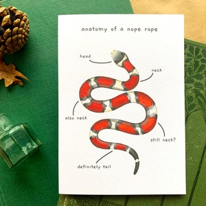 Funny Snake Anatomy of a Nope Rope Greetings Card, Funny Animal Anatomy Cards Blank Inside, Red Milk Snake Joke Card for Snake Owners image 9