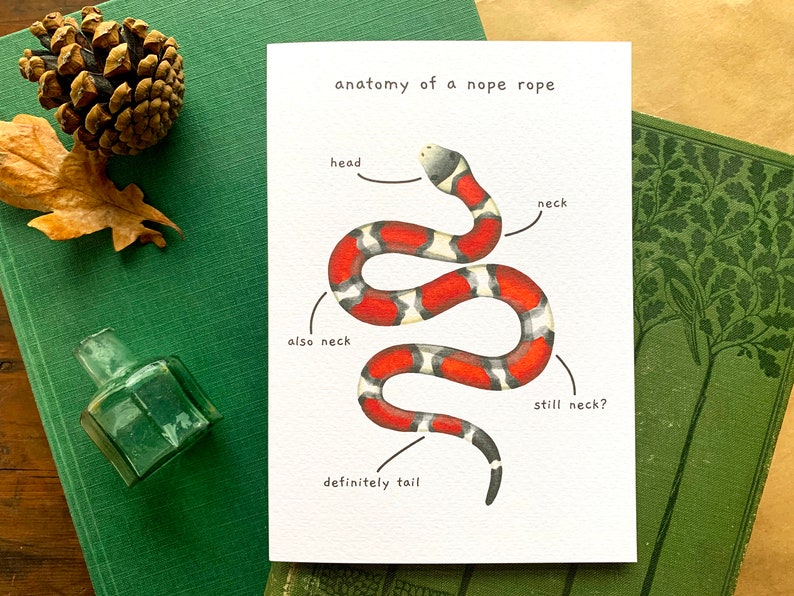 Funny Snake Anatomy of a Nope Rope Greetings Card, Funny Animal Anatomy Cards Blank Inside, Red Milk Snake Joke Card for Snake Owners image 9