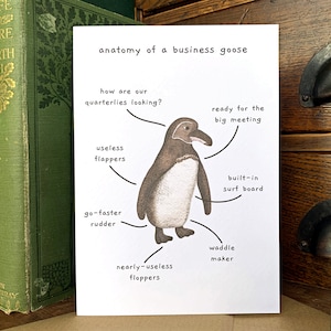 Anatomie d'une oie d'affaires, carte de voeux pour les amoureux des pingouins, carte vierge sur le thème des sciences naturelles pour les amoureux des animaux, carte sarcastique avec humour sec