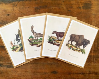 Weird Vintage Animal Illustration Card Set of 4, Funny Made Up Animal Greeting Cards Set, Natural History Lovers and Zoologist Birthday Card